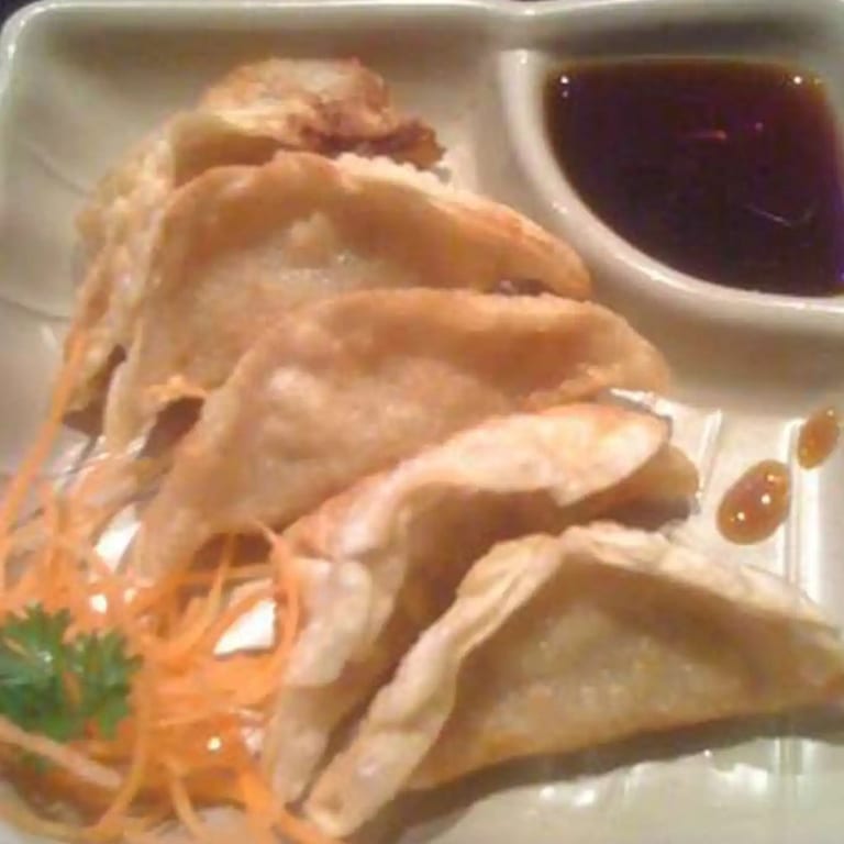 Savor Our Gyoza